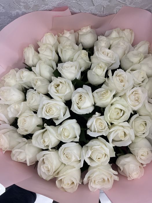 Метр роза 51штттт