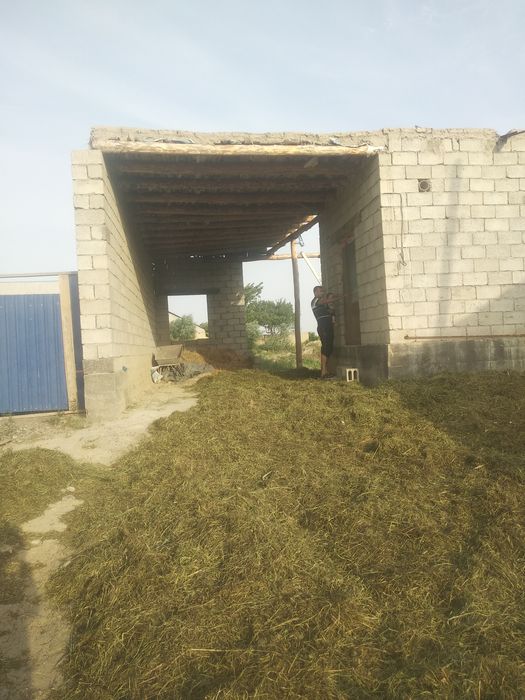 xovli 9 sotox qiziltepada