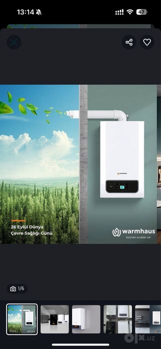 Warmhaus isitish qozoni