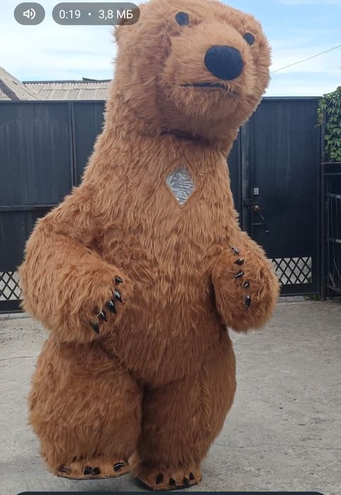 Костюмы Мишек на прокат