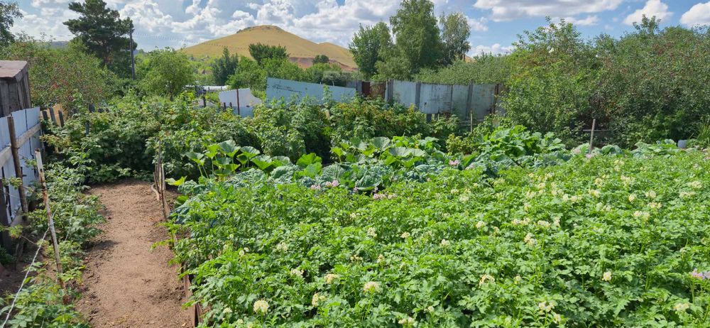 Продаю дачу в обществе СПП