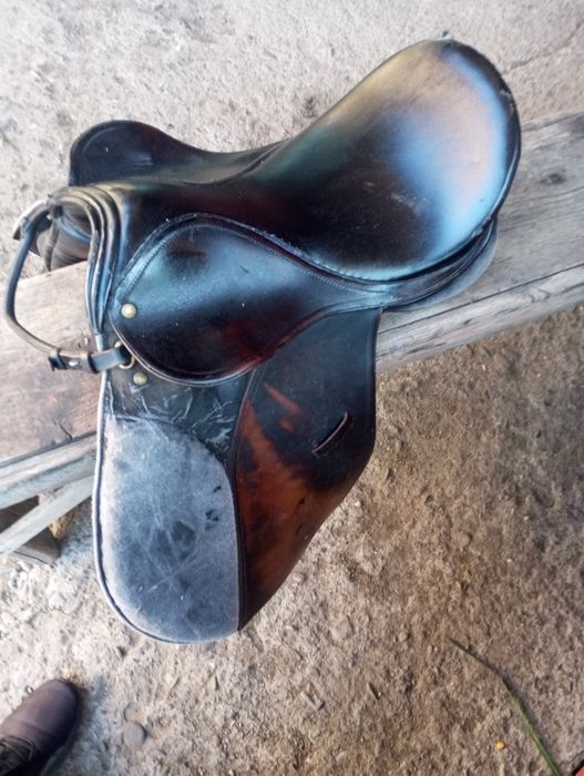 Sașa de călărie adusa recent din Germania