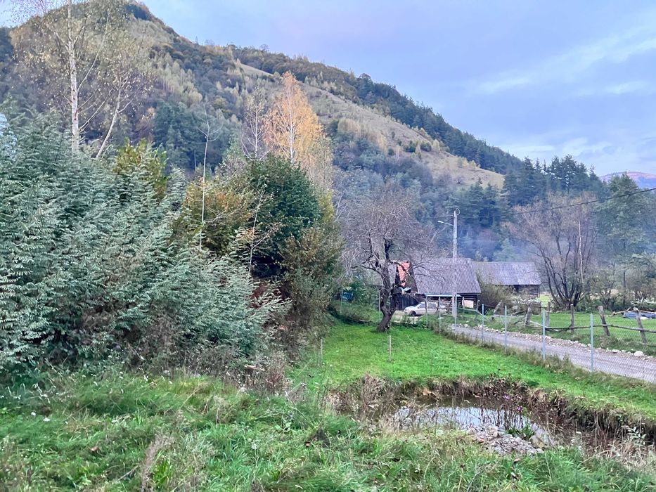 Teren Intravilan de Vânzare – 800 mp – Râu Sadului
