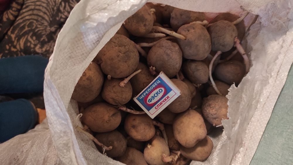 Продам картошку.