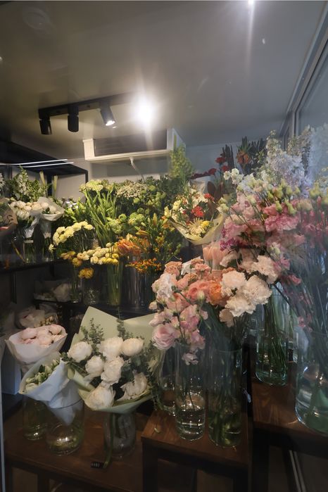 камера canon powershot v10