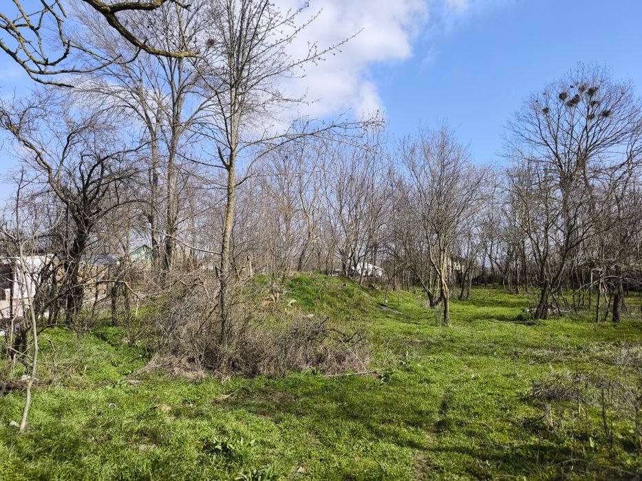 Vind teren intravilan in judetul Teleorman