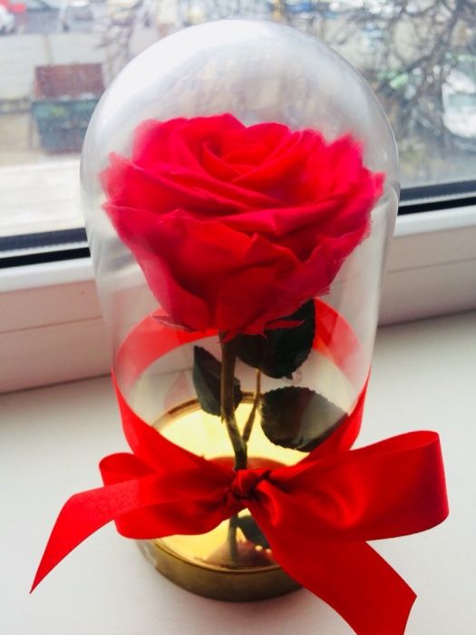 Trandafir rosu roze xxl 150 lei