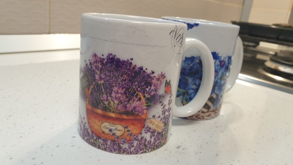 Set cani pentru Fina si Finul