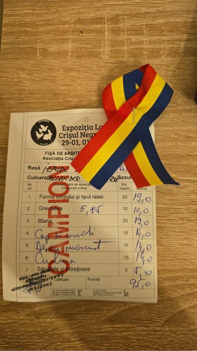 Masculii Secuiesc Sallander Albastru