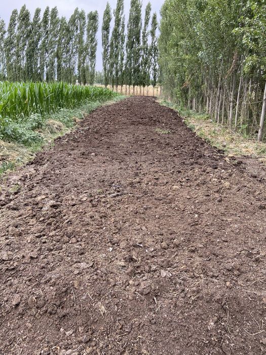 биогумус орг удобрения