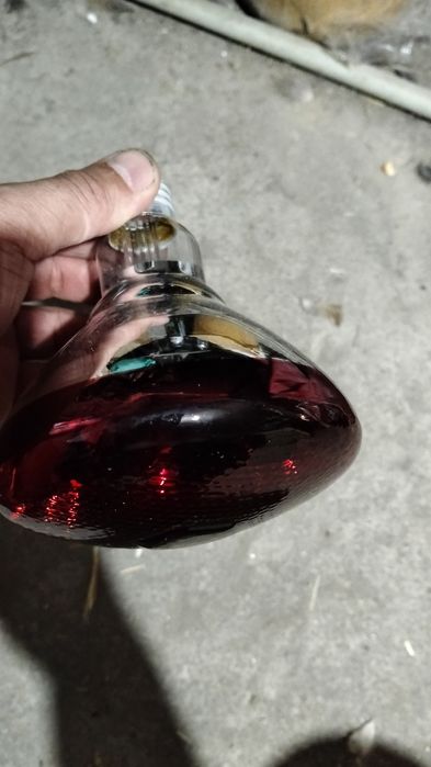 Лампочка для нагрева