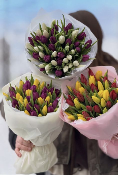 Тюльпаны в розницу, по лучшей цене !