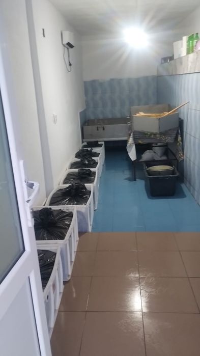 Vind brînză vaca, capra, oaie