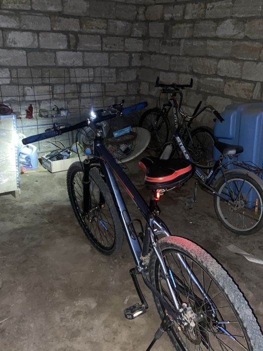 продаю AVA STORM