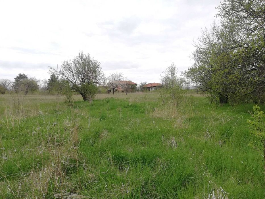 Продава се Парцел в с. Кошарево, Област Перник - 6600 кв.м за 11 €/кв.м - Снимка #10