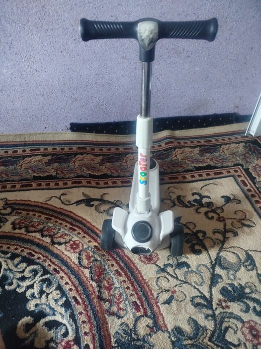 Mamlakat va nogironlik aravasi