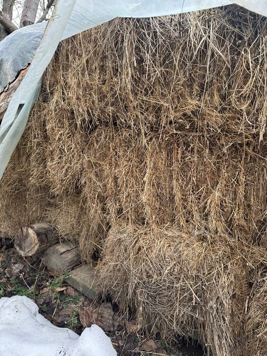 Fan Fân Baloti rotunzi /patrati