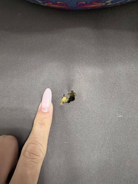 Продоеться стенка и диван