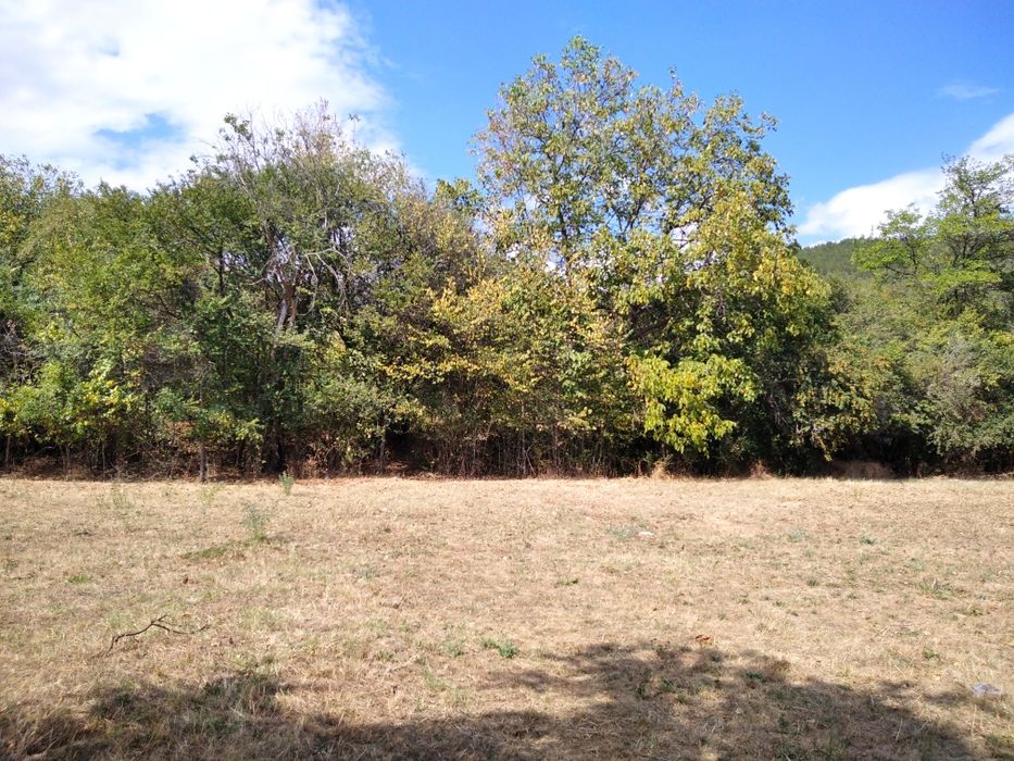 Продава се Парцел в с. Мирково, Област София-област - 560 кв.м за 86 €/кв.м - Снимка #3