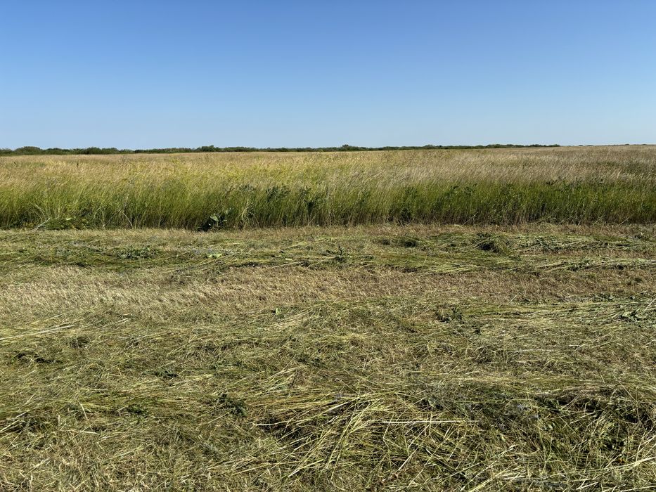 Сено луговое в рулонах