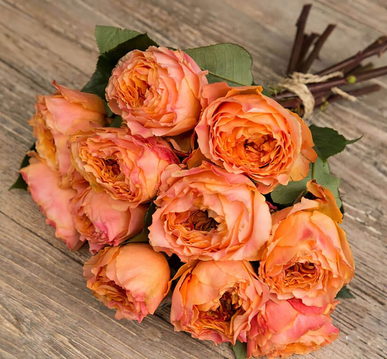 Розы в продаже более  30 расцветок