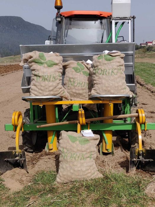 Семе Картофи СОРАЯ клас А