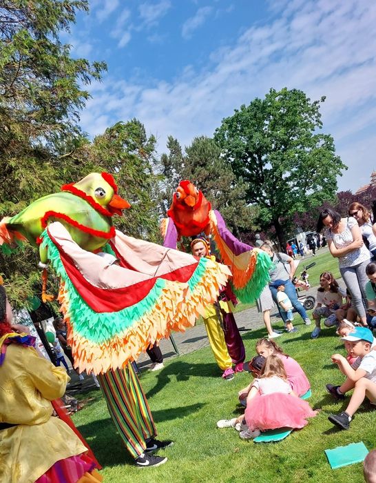 Animatori petreceri copii Brasov