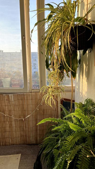 Дава се под наем Двустаен апартамент в София, Младост 4 - 50 кв.м за 561 € - Снимка #2