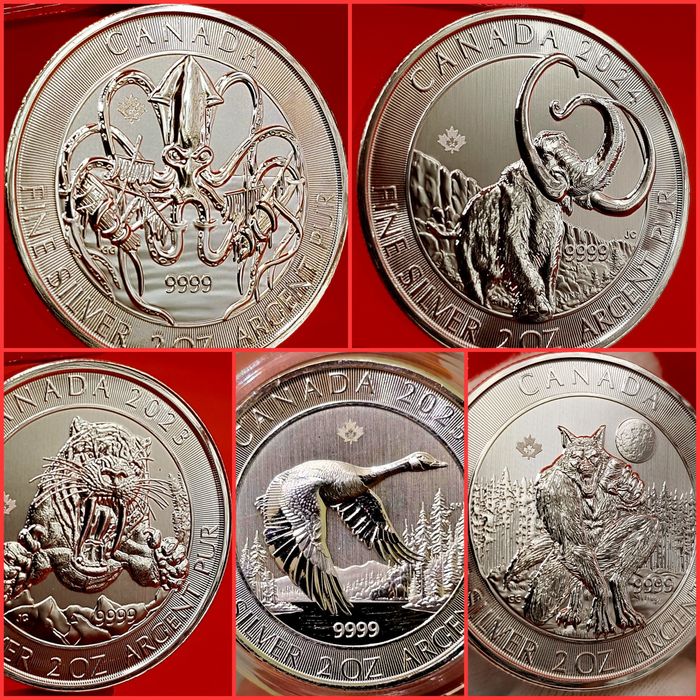 Canada Royal Canadian Mint monede lingou argint 999