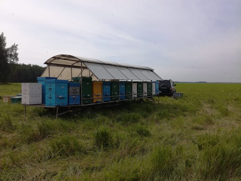 Продам пчеловодный прицеп