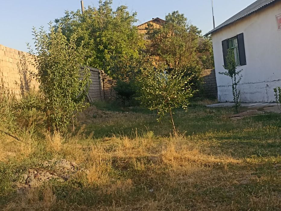 Dala hovli uchatska narxida