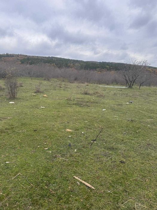 Продава се Земеделски имот в с. Кошарица, Област Бургас -  кв.м за 29325 €/дка - Снимка #3