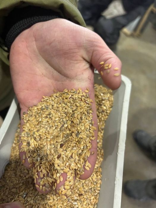 Ячмень.Платный чат! Все корма.