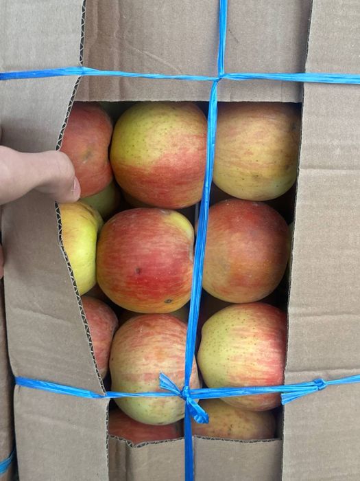 Namangan olmalari bor optom!!!