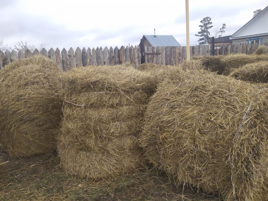 Солома продам есть доставка