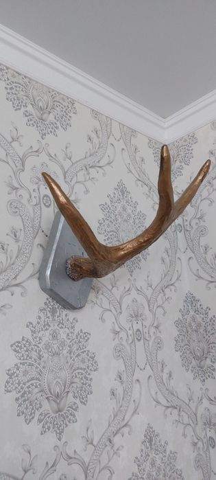 Продам оленя рога две штуки