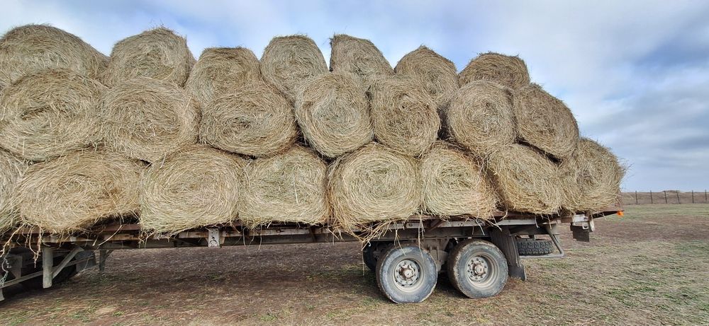 Продам сено разнотравие.