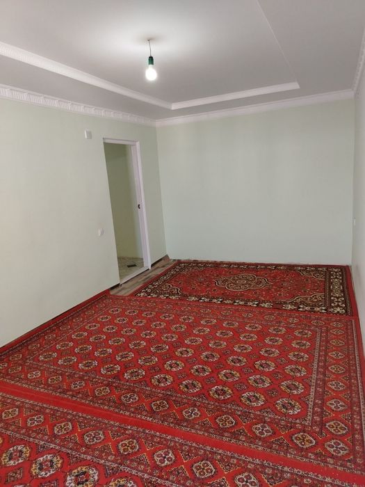Urganch ijara kvartira darital yoni. Qorin tuyoq orqasi