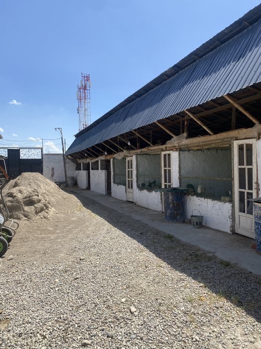 6sotuli daca sotila yengi ozbekiston