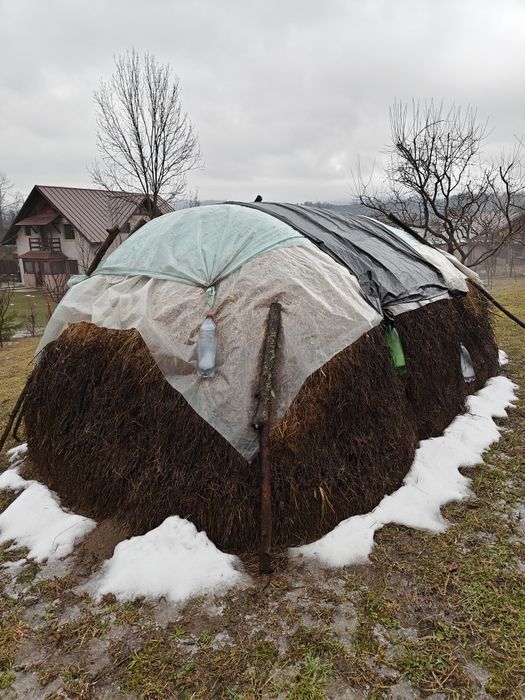 Fân de grădină 2025