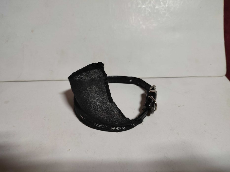 Accesorii pentru caini