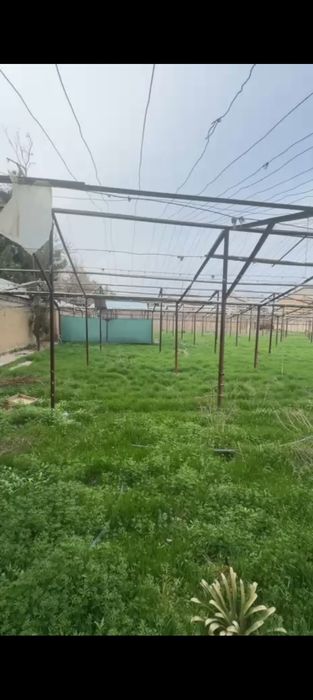 Ер арендага берилади