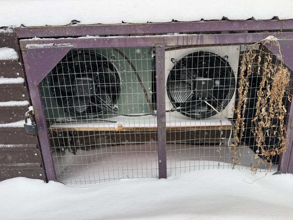 Камера для хронение мясо