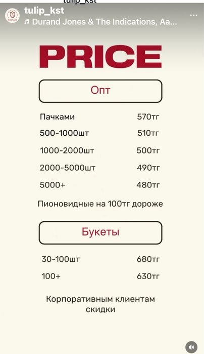 Самые красивые тюльпаны в городе