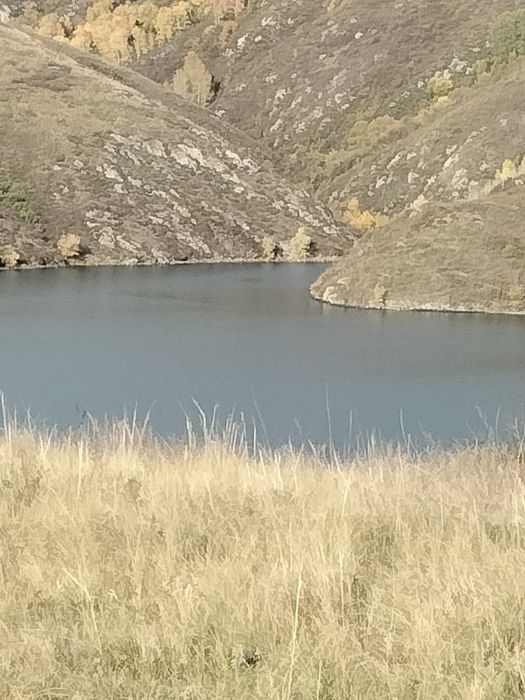 Продам участок на берегу Иртыша