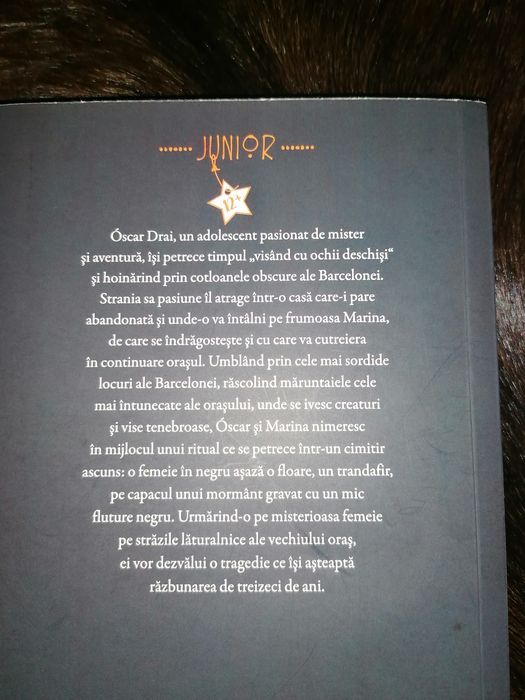 Marina Carlos Ruiz Zafon