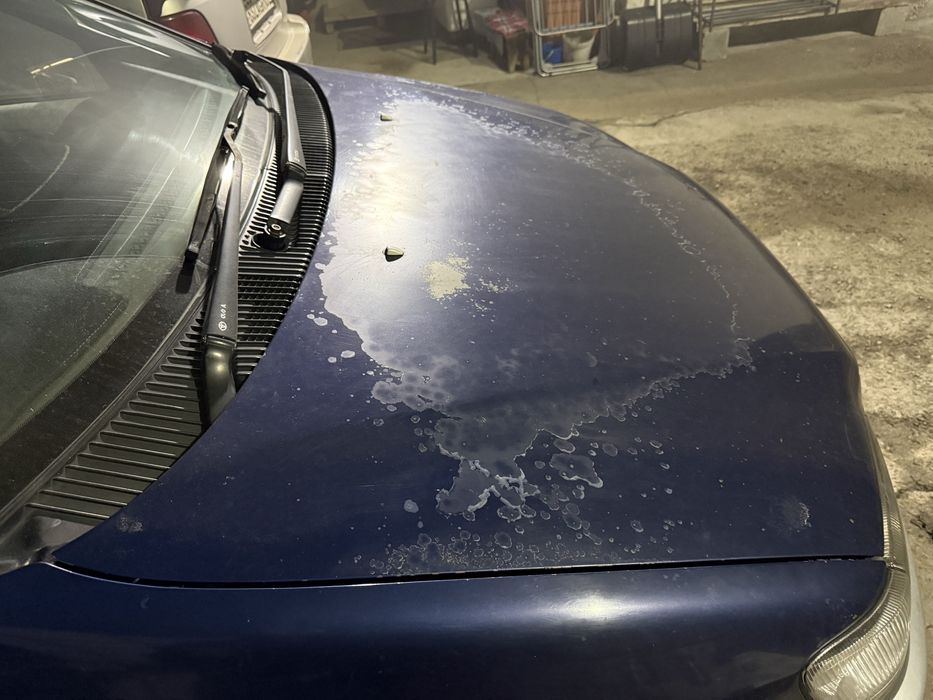 Продам капот Ипсум 96 год