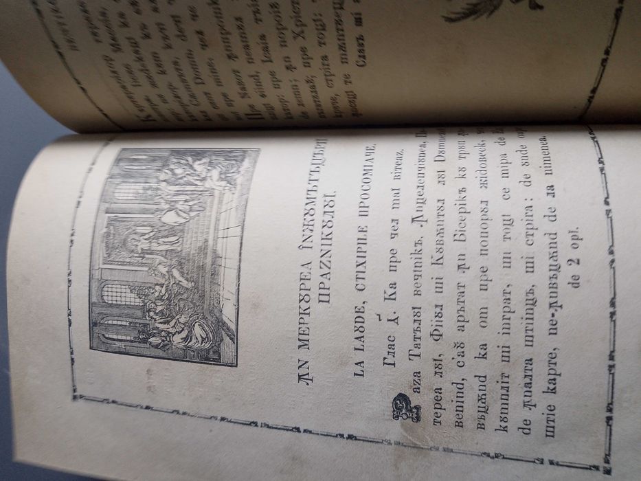 Albina muzicala carte rara