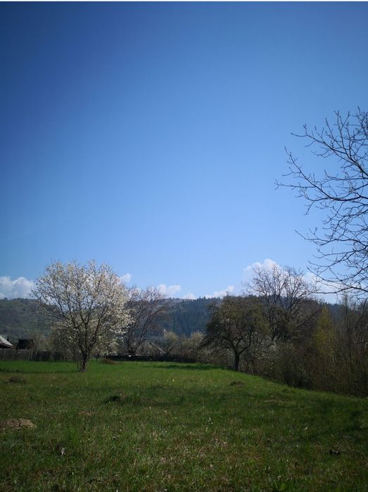 Teren  intravilan Ceahlău