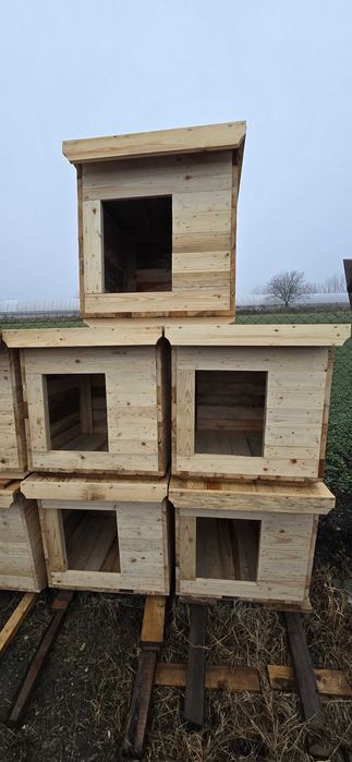 Cusca animale mici si mari